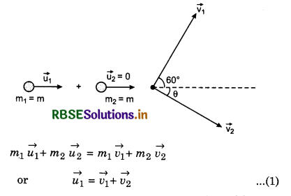 RBSE Class 11 Physics Important Questions Chapter 6 Work, Energy and Power 59