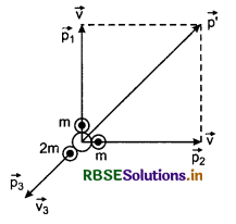 RBSE Class 11 Physics Important Questions Chapter 6 Work, Energy and Power 74