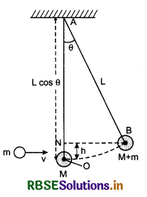 RBSE Class 11 Physics Important Questions Chapter 6 Work, Energy and Power 77