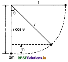 RBSE Class 11 Physics Important Questions Chapter 7 System of Particles and Rotational Motion 52