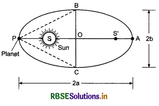 RBSE Class 11 Physics Important Questions Chapter 8 Gravitation 31