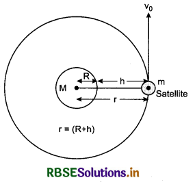 RBSE Class 11 Physics Important Questions Chapter 8 Gravitation 63