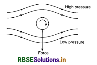 RBSE Class 11 Physics Important Questions Chapter 10 Mechanical Properties of Fluids 19