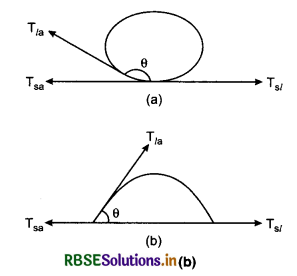 RBSE Class 11 Physics Important Questions Chapter 10 Mechanical Properties of Fluids 31