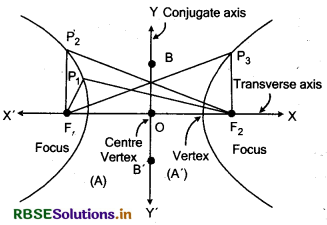RBSE Class 11 Maths Notes Chapter 11 Conic Sections 28