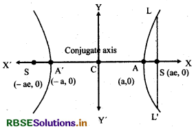 RBSE Class 11 Maths Notes Chapter 11 Conic Sections 34