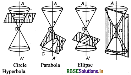 RBSE Class 11 Maths Notes Chapter 11 Conic Sections 6