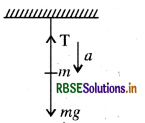 RBSE Solutions for Class 11 Physics Chapter 5 गति के नियम 20