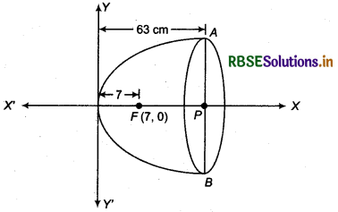 RBSE Class 11 Maths Important Questions Chapter 11 Conic Sections 1