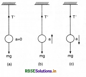 RBSE Class 11 Physics Important Questions Chapter 14 Oscillations 5