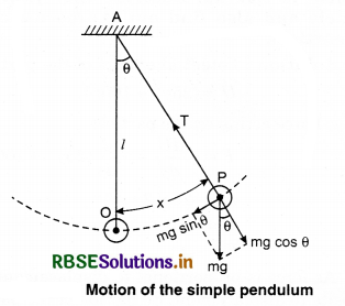 RBSE Class 11 Physics Important Questions Chapter 14 Oscillations 13