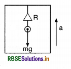 RBSE Class 11 Physics Important Questions Chapter 14 Oscillations 29