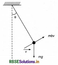 RBSE Class 11 Physics Important Questions Chapter 14 Oscillations 48