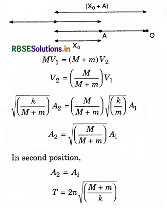 RBSE Class 11 Physics Important Questions Chapter 14 Oscillations 49