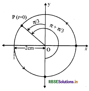 RBSE Solutions for Class 11 Physics Chapter 14 दोलन 8