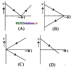 RBSE Class 11 Physics Important Questions Chapter 3 सरल रेखा में गति 48