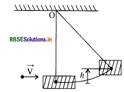 RBSE Class 11 Physics Important Questions Chapter 5 गति के नियम 20