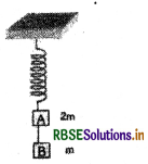 RBSE Class 11 Physics Important Questions Chapter 5 गति के नियम 25