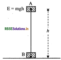 RBSE Class 11 Physics Important Questions Chapter 6 कार्य, ऊर्जा और शक्ति 5